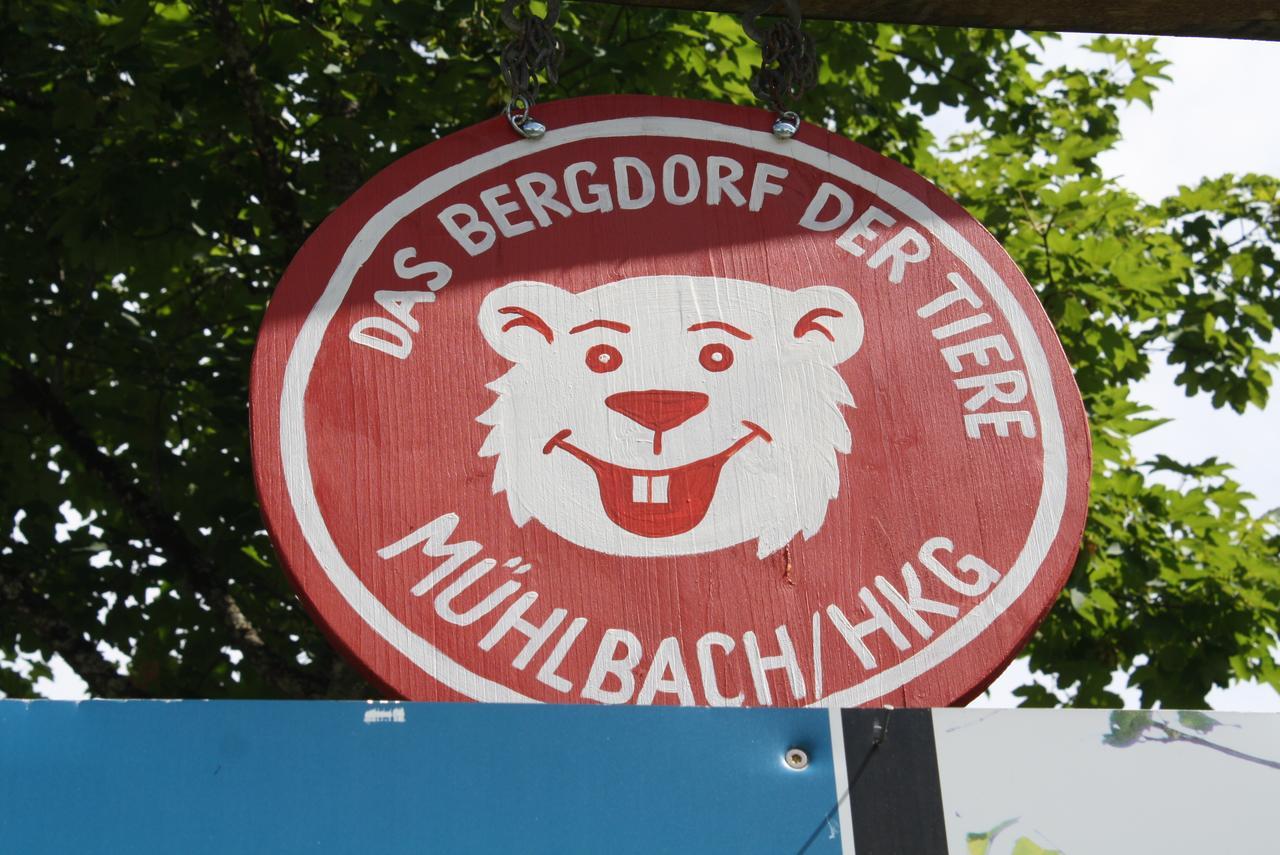 Apartmán Muehlbach Alpendomizil II Mühlbach am Hochkönig Exteriér fotografie