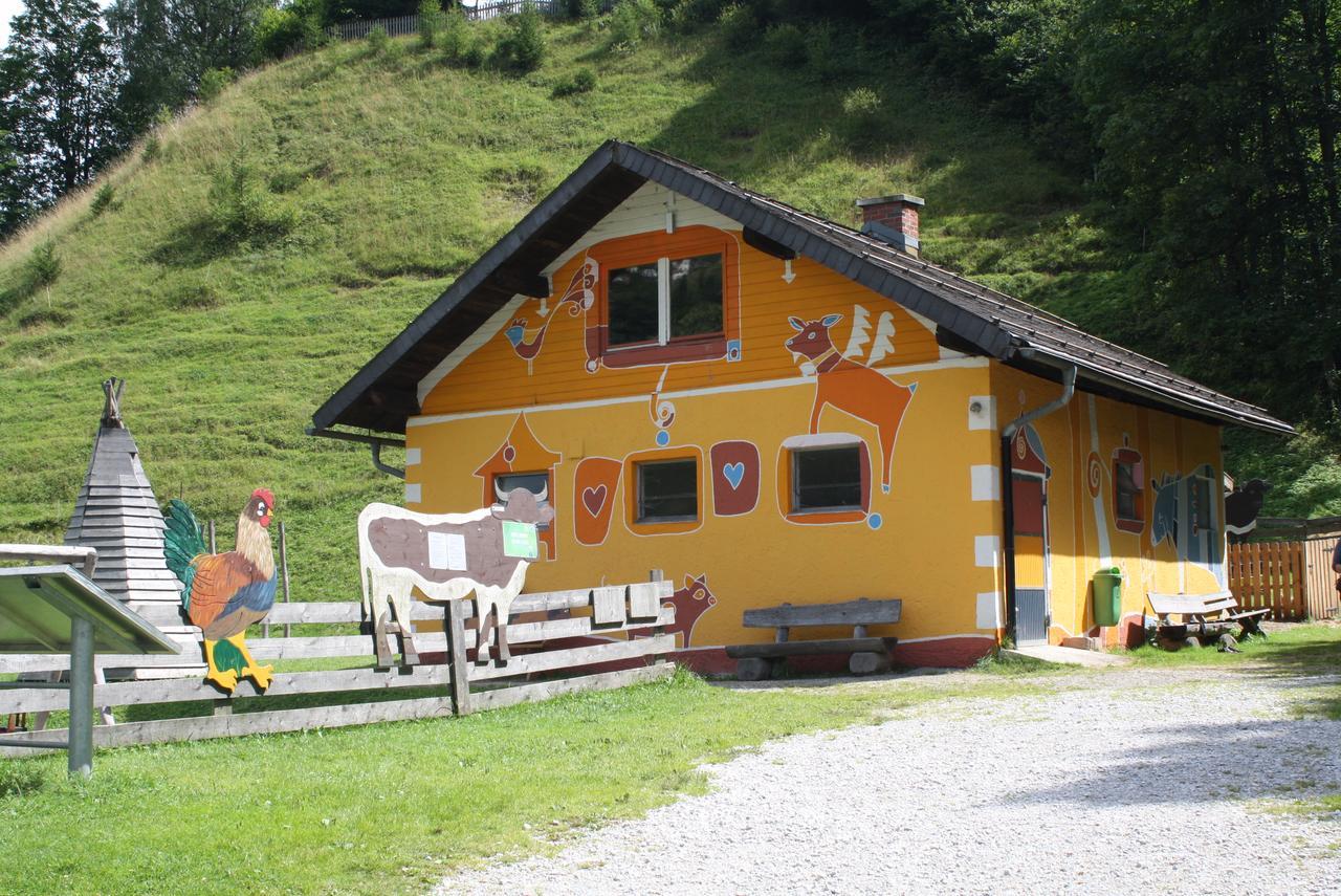 Apartmán Muehlbach Alpendomizil II Mühlbach am Hochkönig Exteriér fotografie