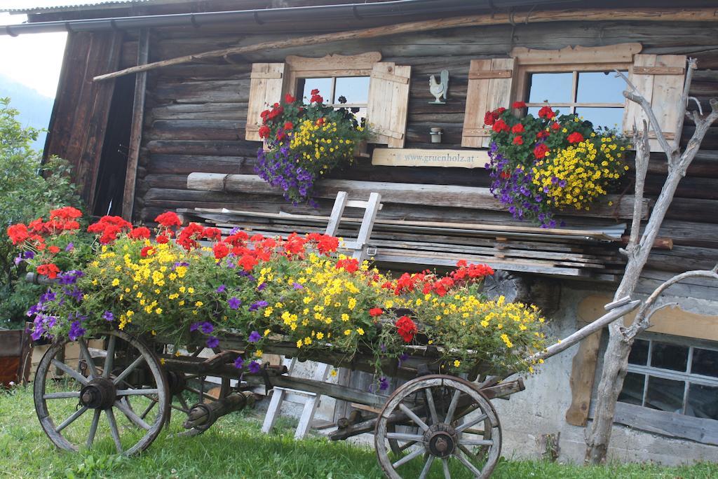 Apartmán Muehlbach Alpendomizil II Mühlbach am Hochkönig Exteriér fotografie